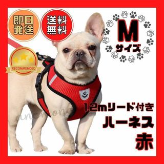 【新品】ペット用ハーネス リード付き 軽い 犬用 メッシュ Mサイズ 赤(犬)