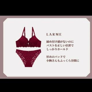 MAKE LOVE ブラショーツセット LARME(ブラ&ショーツセット)