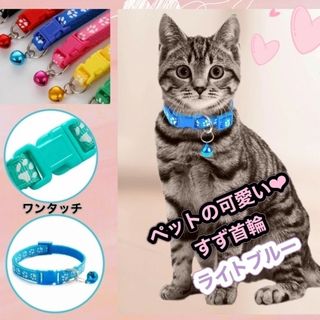 首輪 2コセット ブルー 犬 猫 小型犬 うさぎ バックル止め 長さ調整可能(猫)