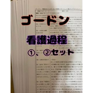 ゴードン　看護過程(健康/医学)