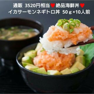 イカサーモンネギトロ丼  50ｇ×10人前  イカ  サーモン  海鮮丼  刺身(魚介)