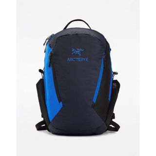 アークテリクス(ARC'TERYX)のアークテリクス　リュック　バックパック　ビームス　別注　リュック　マンティス(バッグパック/リュック)