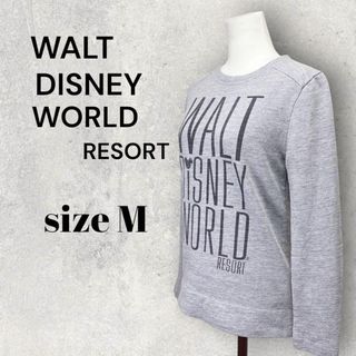 ディズニー(Disney)の◎◎WALT DISNEY WORLD ディズニーワールドトレーナー　M　グレー(トレーナー/スウェット)