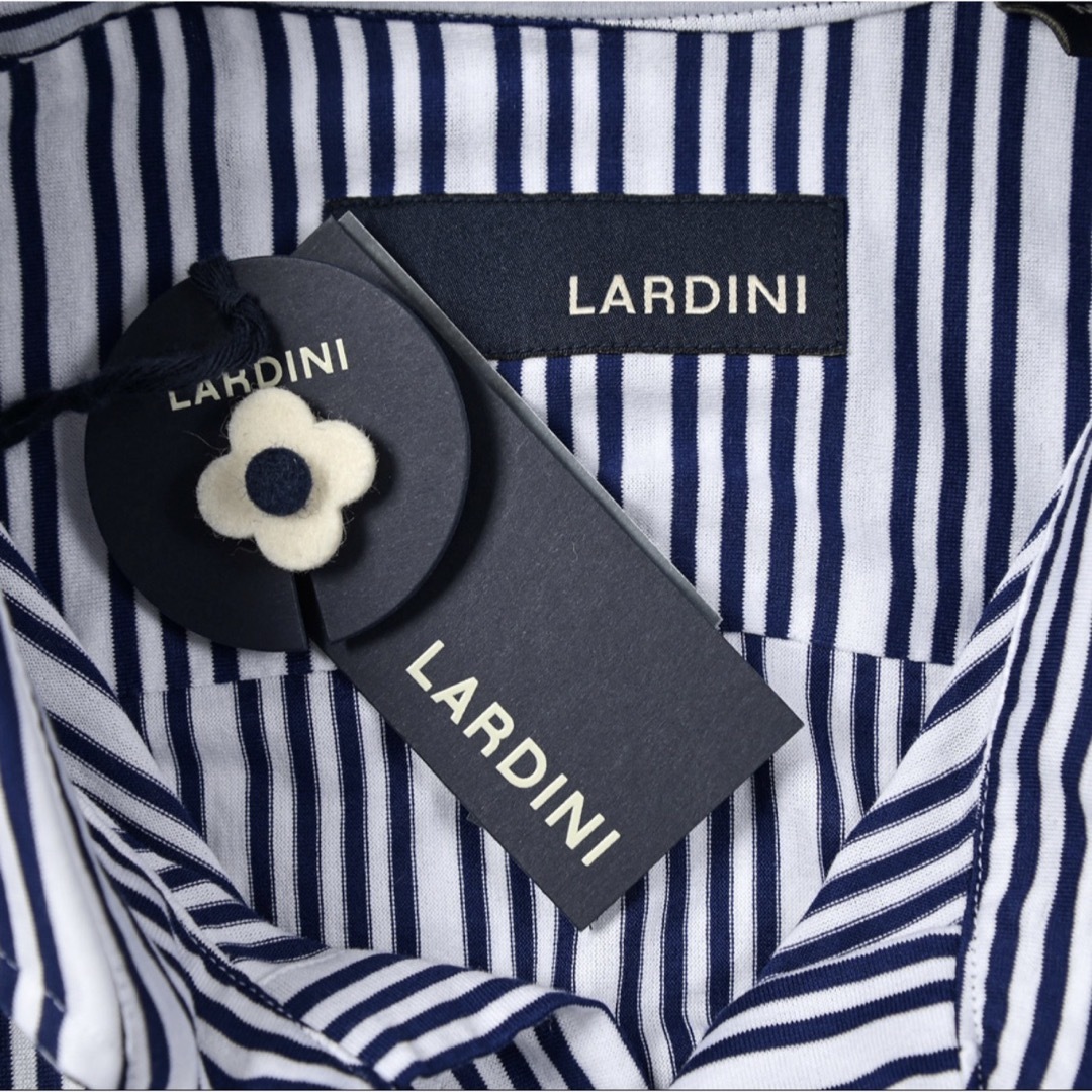 LARDINI(ラルディーニ)のラルディーニ LARDINI シャツ ホリゾンタル　ストライプ ブートニ メンズのトップス(シャツ)の商品写真