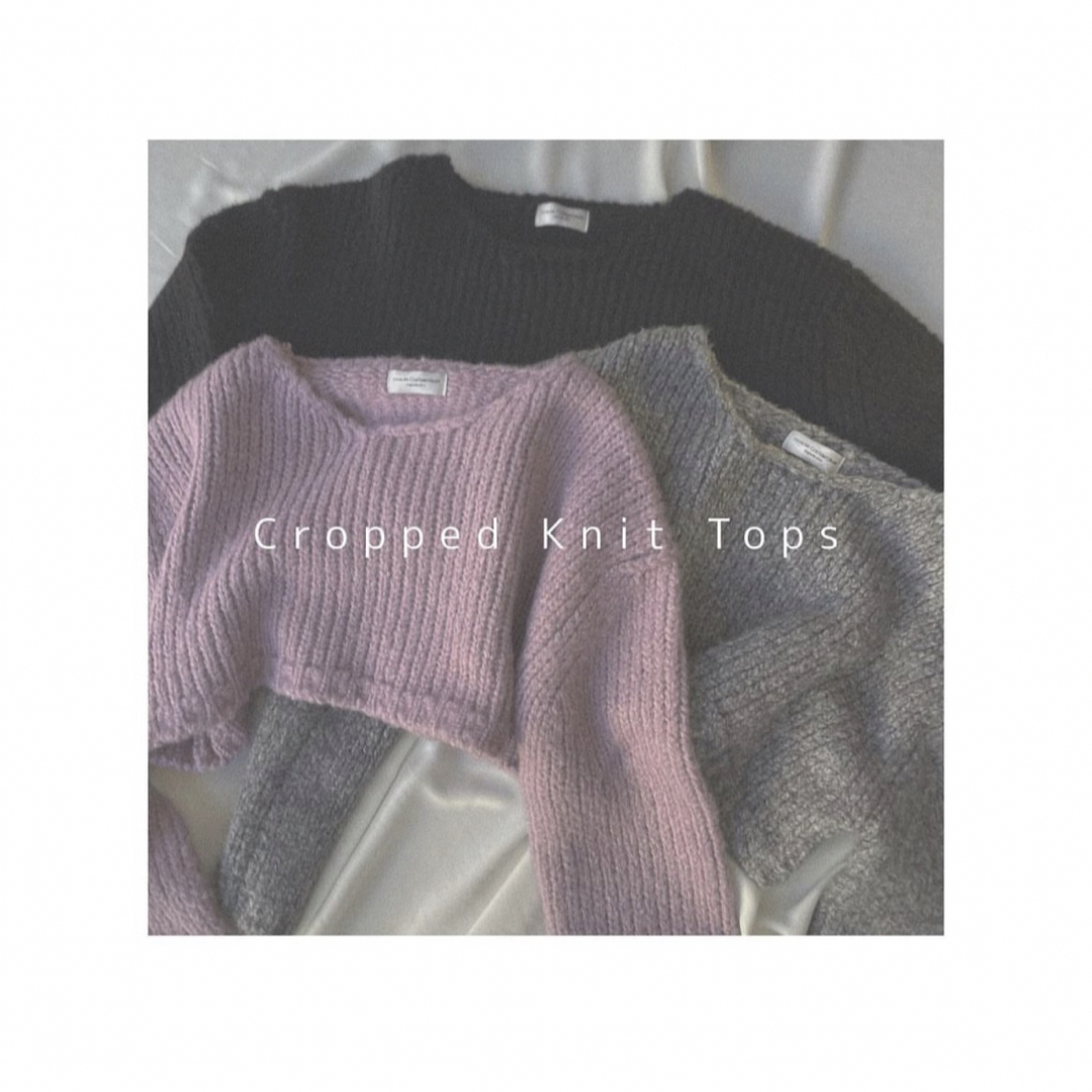 room306 CONTEMPORARY(ルームサンマルロクコンテンポラリー)のroom306 CONTEMPORARY Cropped Knit Tops レディースのトップス(ニット/セーター)の商品写真