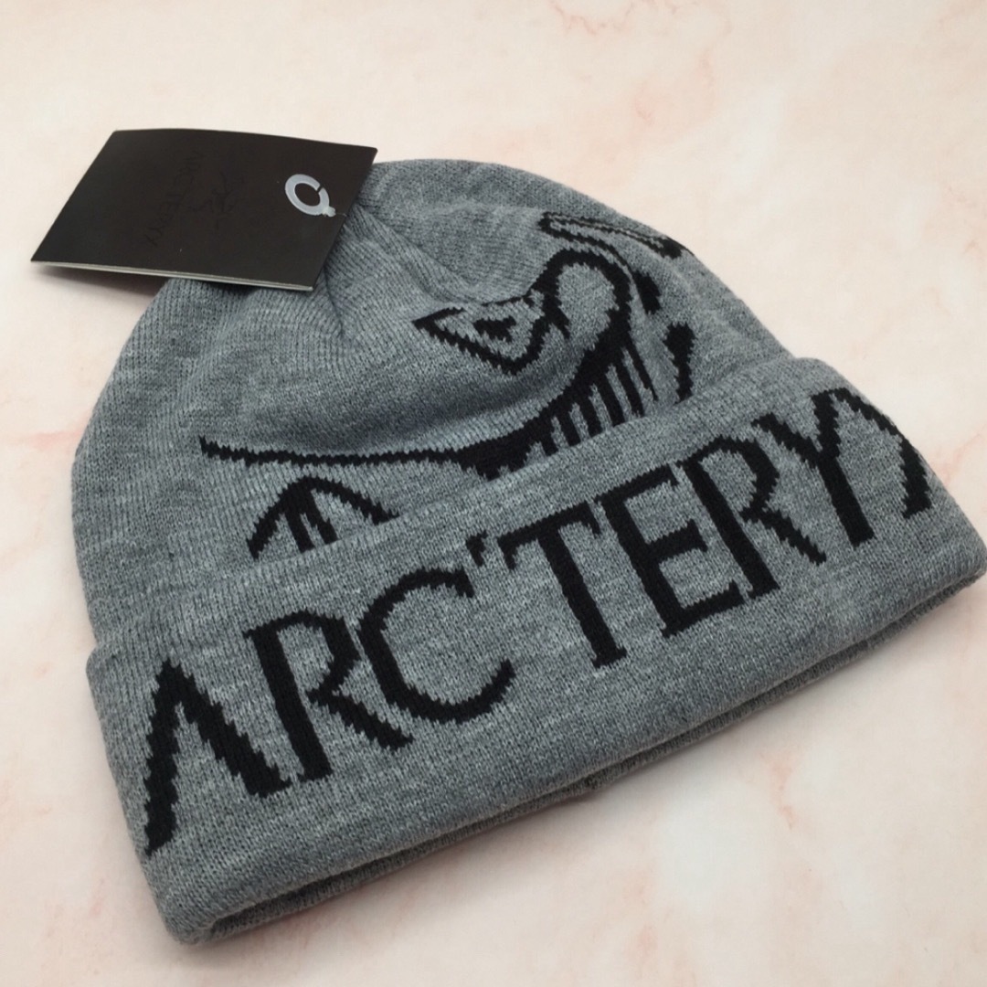 ARC'TERYX(アークテリクス)のARC'TERYX Bird Word Toque ニット ビーニー メンズの帽子(ニット帽/ビーニー)の商品写真