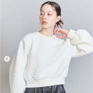 ビューティアンドユースユナイテッドアローズ(BEAUTY&YOUTH UNITED ARROWS)のレオパートジャガードプルオーバー(カットソー(長袖/七分))