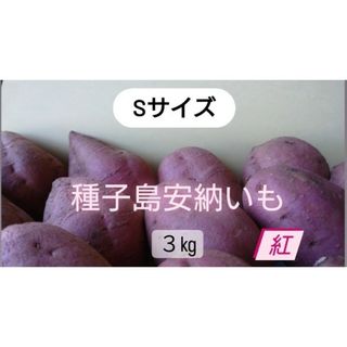 種子島安納いも紅S　3キロ(野菜)