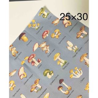 保育園幼稚園ランチョンマット25×30cm 2枚きのこ(外出用品)