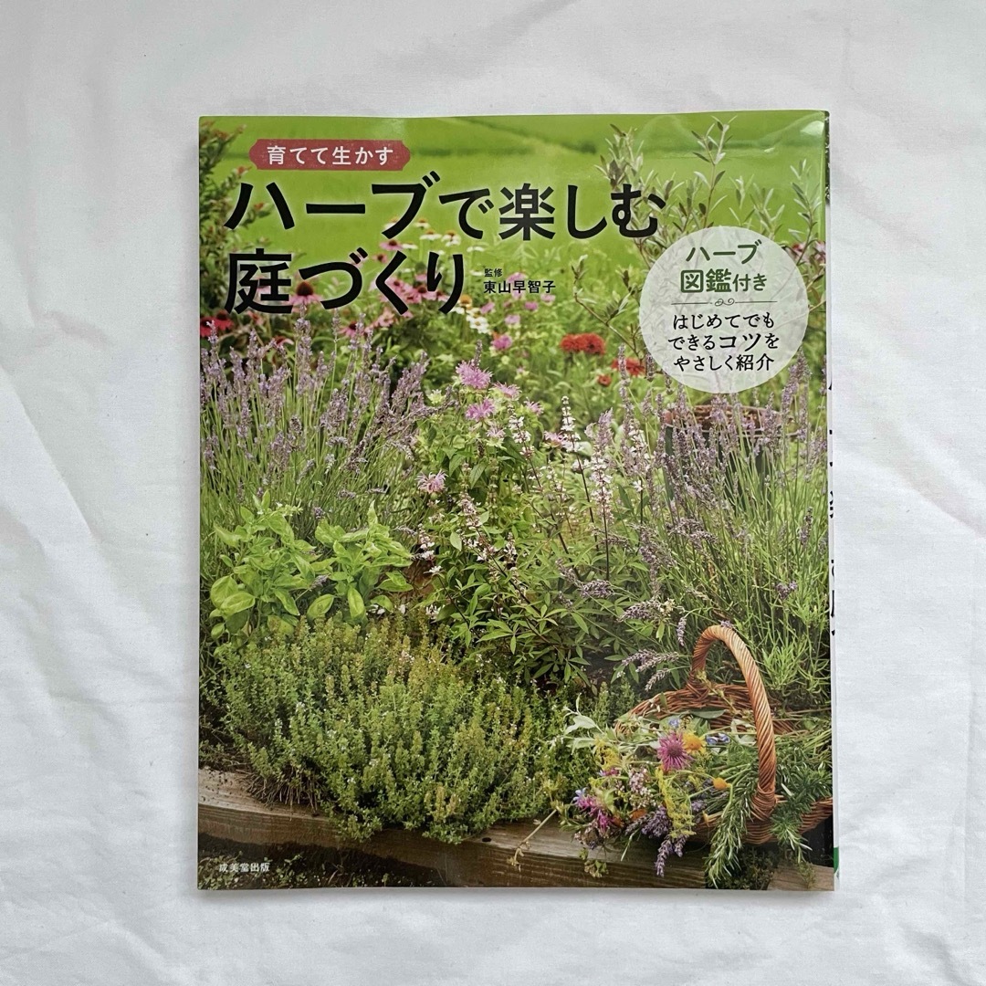 ハーブで楽しむ庭づくり エンタメ/ホビーの本(趣味/スポーツ/実用)の商品写真