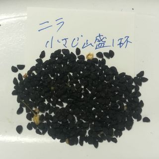 【韮　ニラ　にら　小さじ山盛り２杯分】　在来種　自然農法　自然栽培　農薬不使用(野菜)