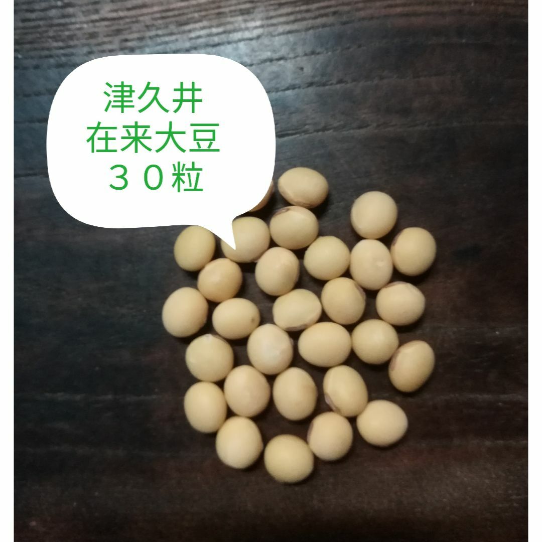 【津久井在来大豆　30粒】　枝豆も！　晩生　/　自然栽培　在来種　昨年　自家採種 ハンドメイドのフラワー/ガーデン(プランター)の商品写真