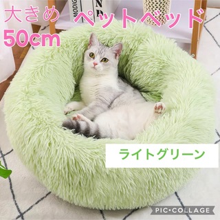 ペットベッド　猫ベッド　犬ベッド　ふんわり　オールシーズン　グリーン　丸洗い(かご/ケージ)