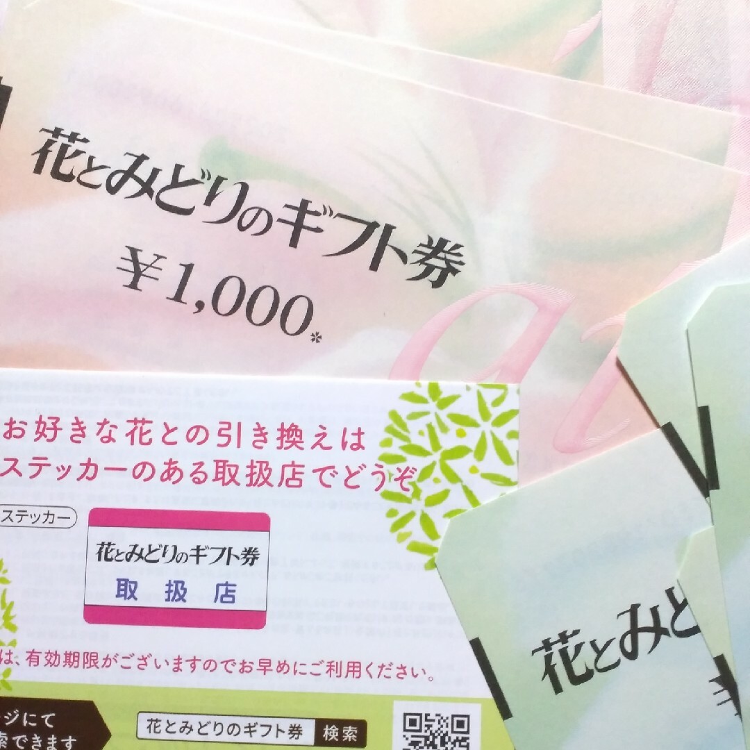 花とみどりのギフト券 チケットの優待券/割引券(ショッピング)の商品写真