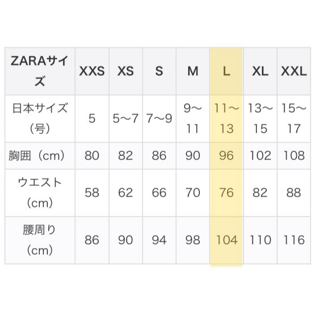 ZARA(ザラ)のZARA／ボーダーTシャツ／Lサイズ レディースのトップス(Tシャツ(半袖/袖なし))の商品写真