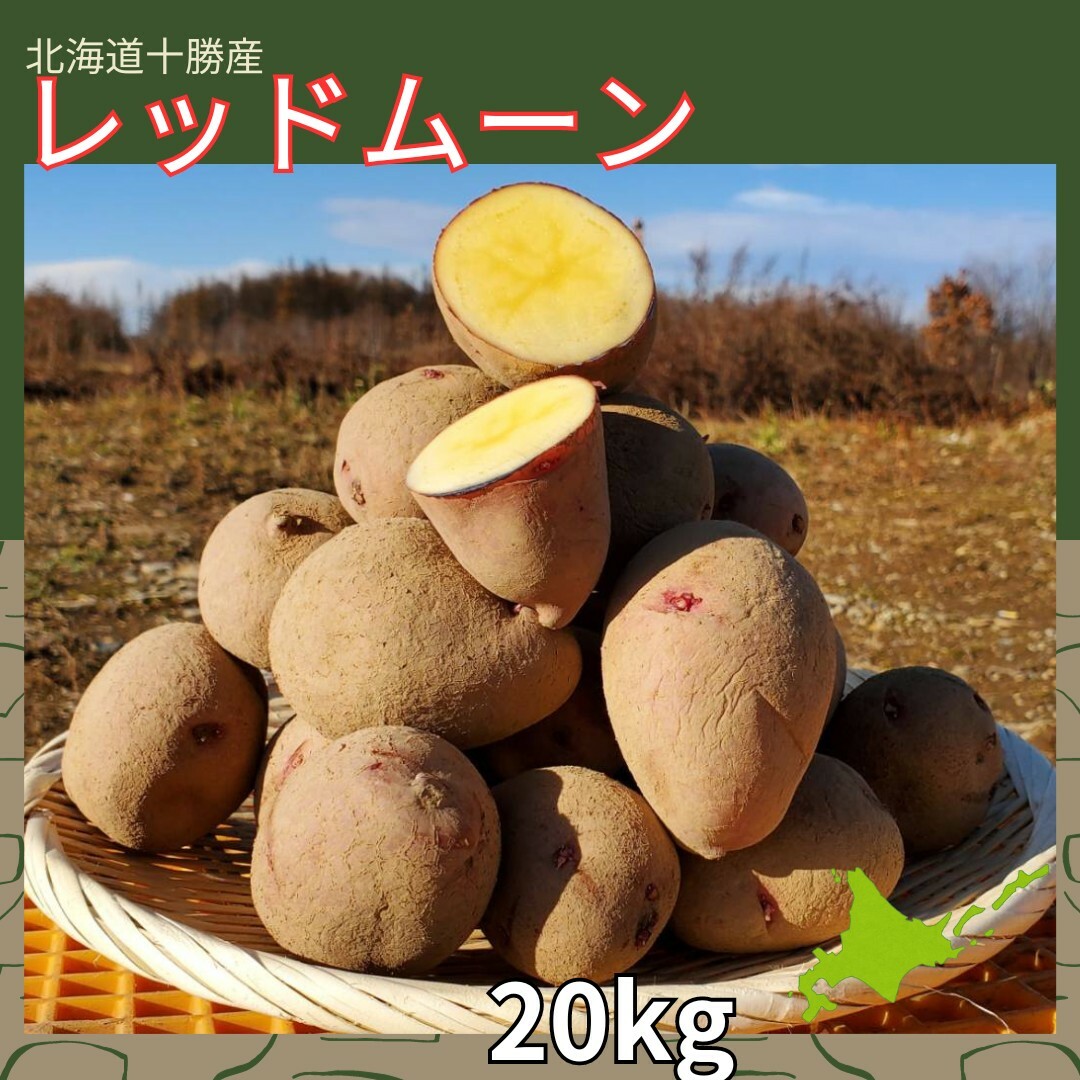 tominagaさん専用　２/５　北海道産　じゃがいも　レッドムーン 食品/飲料/酒の食品(野菜)の商品写真