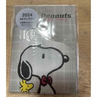 スヌーピー(SNOOPY)のスヌーピー　スケジュール帳(カレンダー/スケジュール)