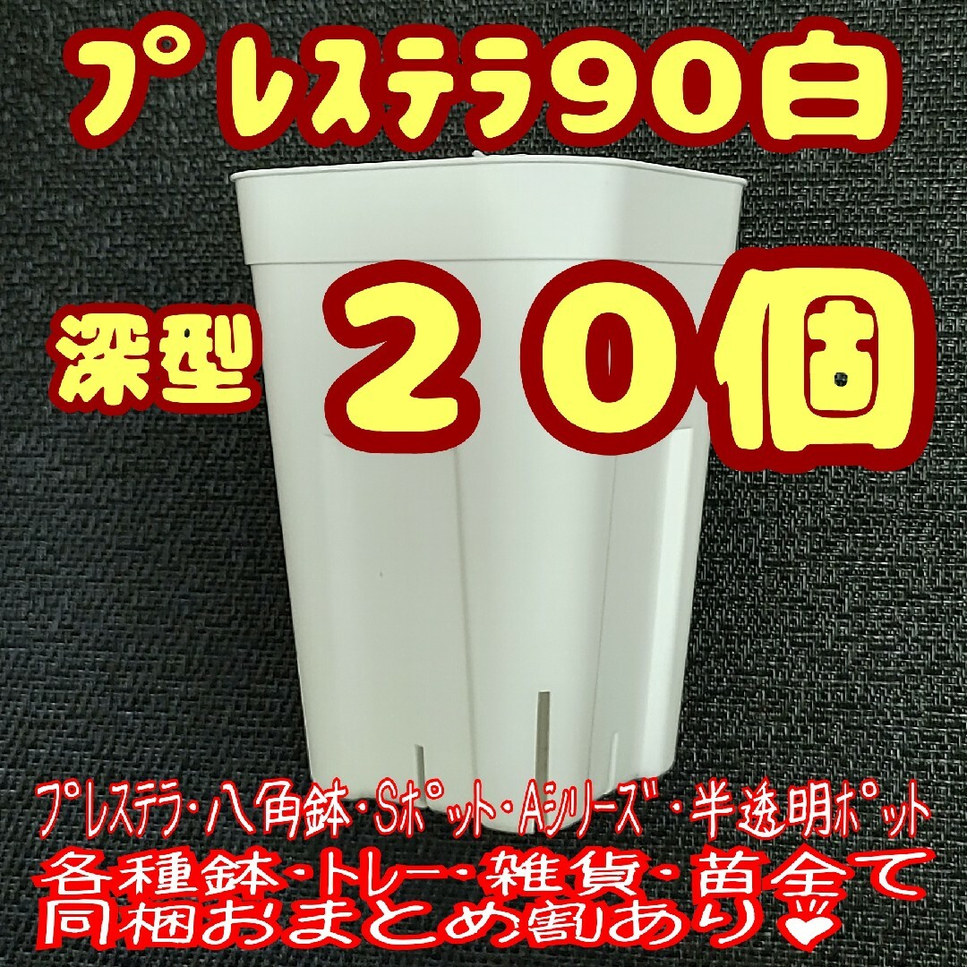 プレステラ深鉢90 白 20個 プラ鉢 スリット鉢 多肉植物の通販 by ちぃ