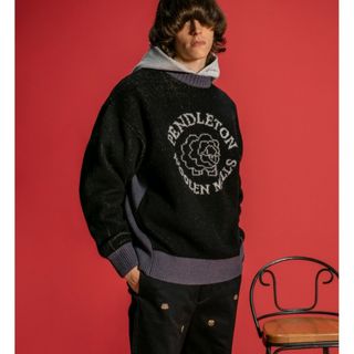 ペンドルトン(PENDLETON)のペンドルトン×モンキータイム　ニット(ニット/セーター)