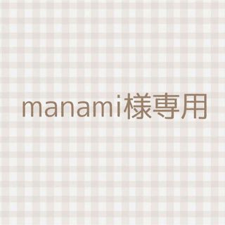 manami様専用(ドライフラワー)