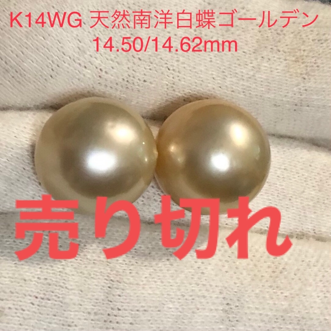 K14WG 天然南洋白蝶ゴールデン真珠ピアス　丸系　14.02/14.23mmエクボや