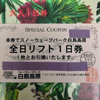 スノーウェーブパーク白鳥高原　全日1日券(スキー場)