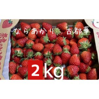 ならあかり 古都華　2kg 小粒　変形　奈良県　農家直送　いちご　イチゴ　苺(フルーツ)