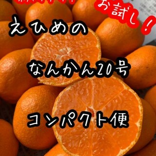 愛媛県産　南柑20号みかん　コンパクト便　柑橘　ミカン(フルーツ)