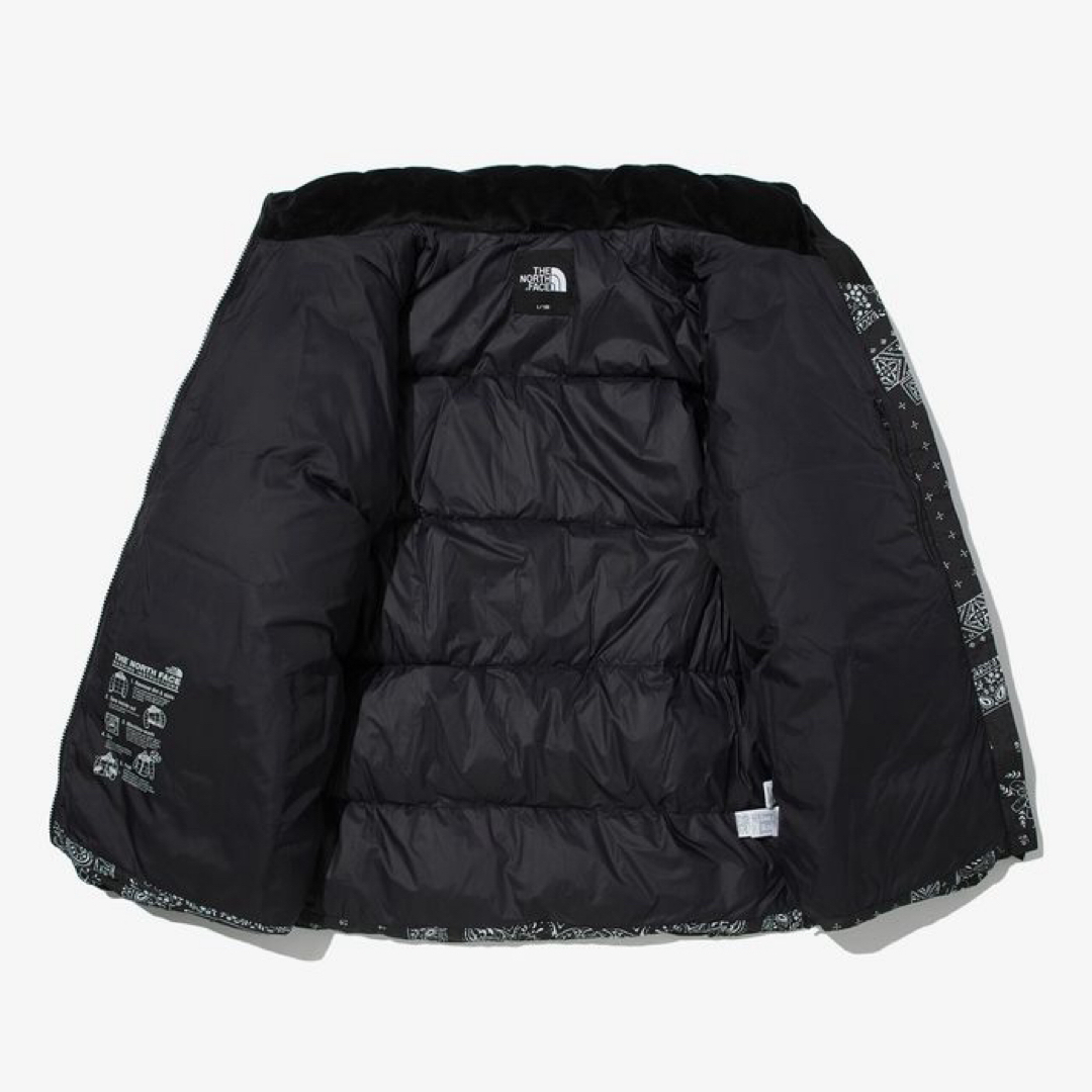 THE NORTH FACE - ノースフェイス L ペイズリー柄 バンダナ柄 総