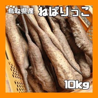 【家庭用】ねばりっこ とりたて 10kg程度 長芋 とろろ ねばり 山芋 バラ(野菜)