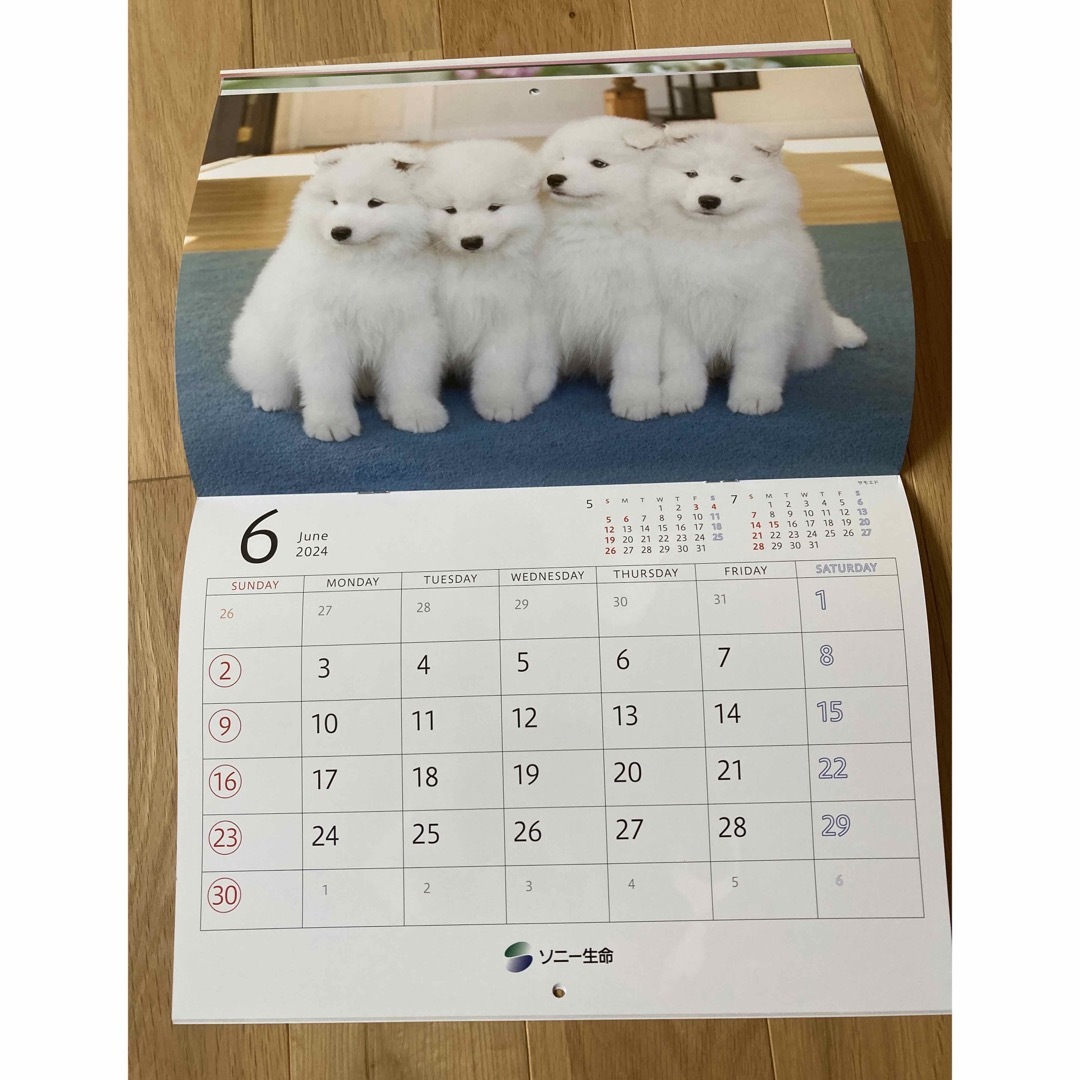 2024年カレンダー　ゆかいな子犬たち インテリア/住まい/日用品の文房具(カレンダー/スケジュール)の商品写真