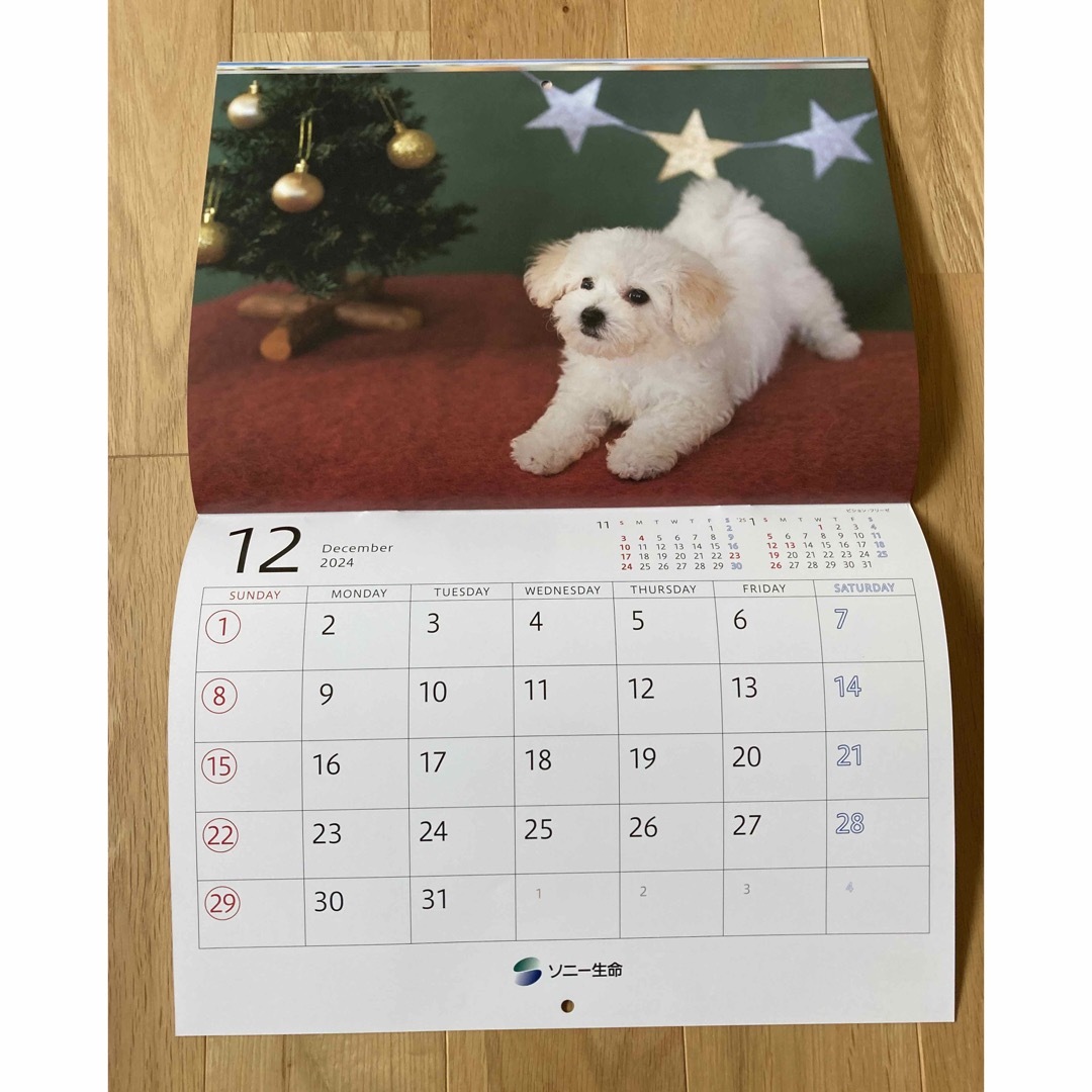 2024年カレンダー　ゆかいな子犬たち インテリア/住まい/日用品の文房具(カレンダー/スケジュール)の商品写真