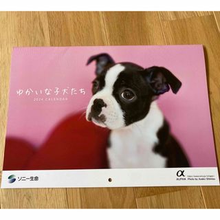 2024年カレンダー　ゆかいな子犬たち(カレンダー/スケジュール)