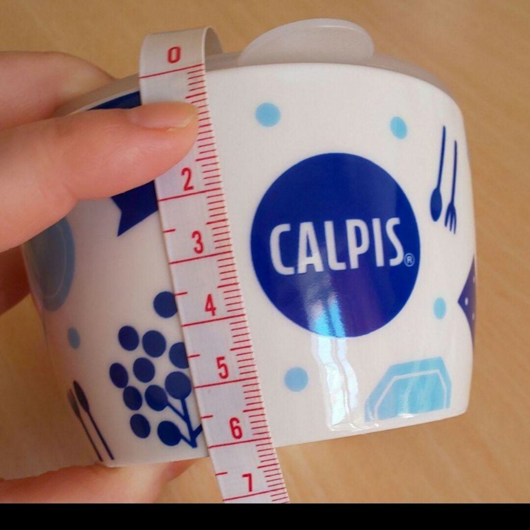 CALPIS  オリジナル保存容器 インテリア/住まい/日用品のキッチン/食器(容器)の商品写真