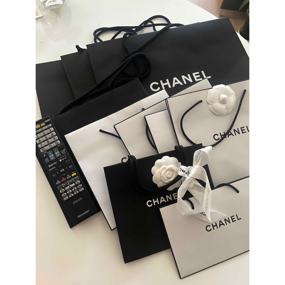 CHANELシャネル　紙袋ショッパー10枚セット