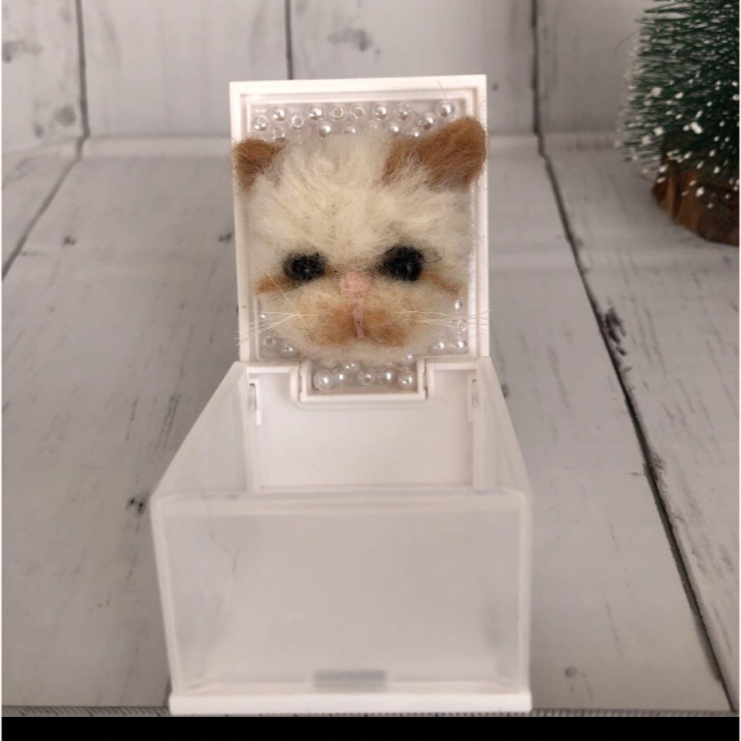 ぶさかわ子猫のピアスケース　羊毛フェルトハンドメイド ハンドメイドのぬいぐるみ/人形(ぬいぐるみ)の商品写真