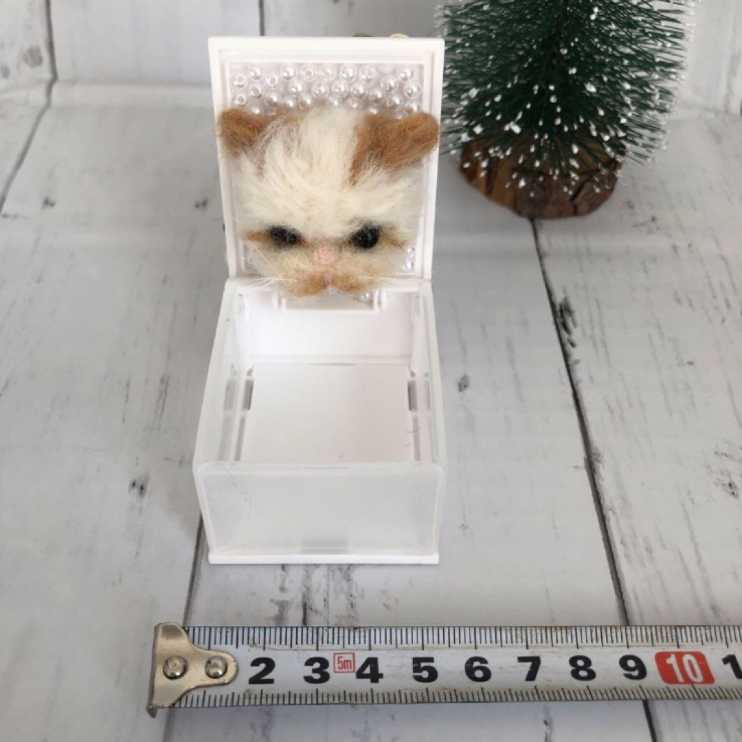 ぶさかわ子猫のピアスケース　羊毛フェルトハンドメイド ハンドメイドのぬいぐるみ/人形(ぬいぐるみ)の商品写真