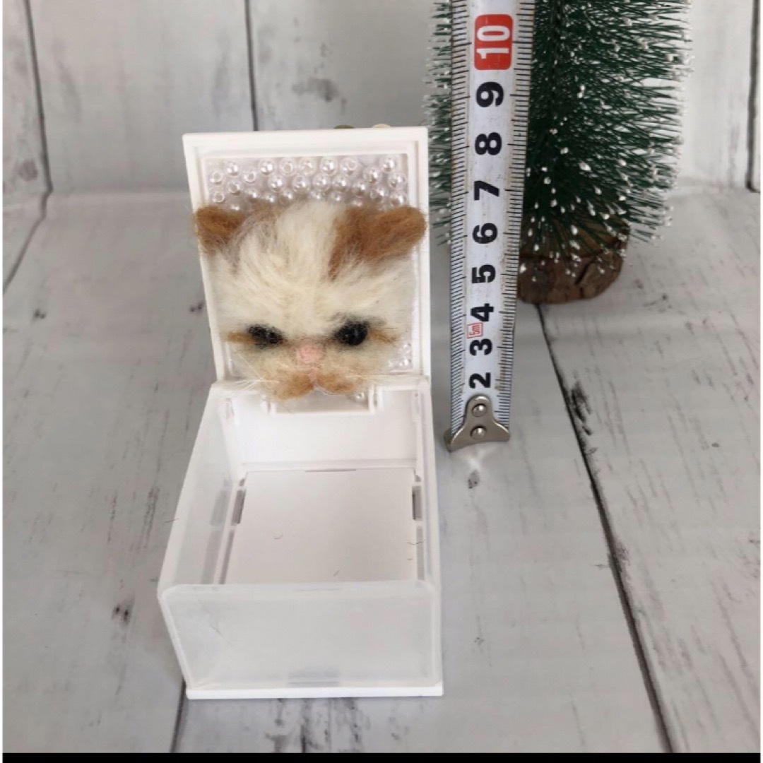 ぶさかわ子猫のピアスケース　羊毛フェルトハンドメイド ハンドメイドのぬいぐるみ/人形(ぬいぐるみ)の商品写真