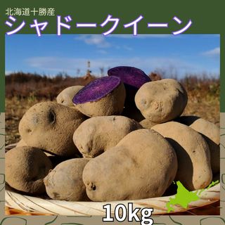 しまさん専用【２０kg】北海道産　じゃがいも　シャドークイーン(野菜)