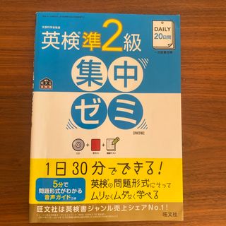 ＤＡＩＬＹ２０日間英検準２級集中ゼミ(資格/検定)