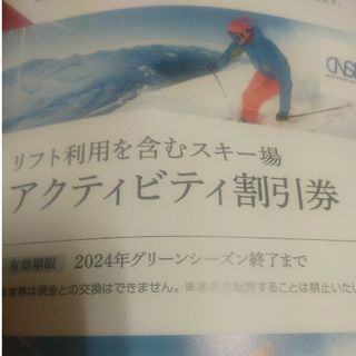 リフト利用　アクティビティ割引券２枚日本駐車場開発株主優待(スキー場)