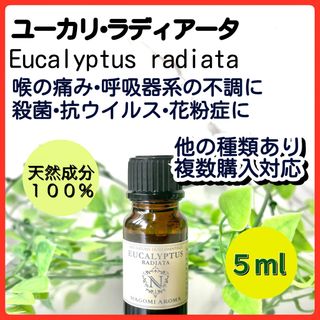 ユーカリラディアータ 5ml 天然 精油アロマオイル 殺菌 乾燥 喉 免疫力(エッセンシャルオイル（精油）)