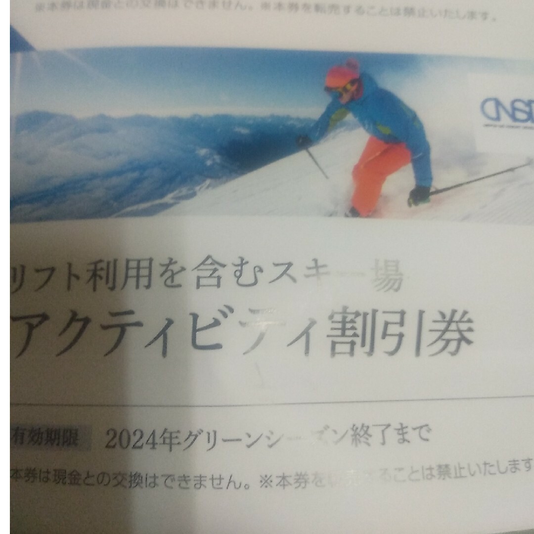 リフト利用アクティビティ割引券1枚　日本駐車場開発株主優待 チケットの施設利用券(スキー場)の商品写真