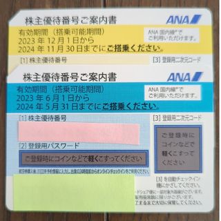 エーエヌエー(ゼンニッポンクウユ)(ANA(全日本空輸))の全日空 ANA 株主 優待券（２枚）(その他)