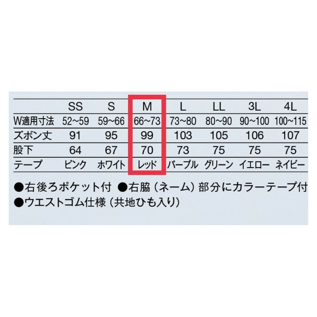 KAZEN(カゼン)の【上下セット】カゼン　スクラブ　プラム　Mサイズ レディースのレディース その他(セット/コーデ)の商品写真