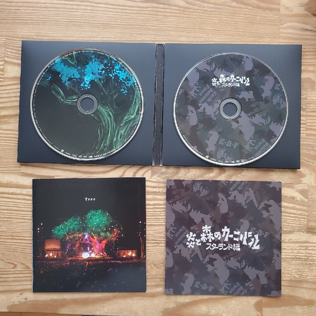 Tree（初回限定盤） エンタメ/ホビーのCD(ポップス/ロック(邦楽))の商品写真
