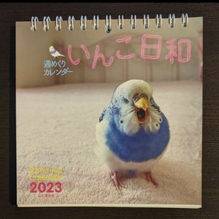 いんこ日和　週めくりカレンダー　2023(カレンダー/スケジュール)