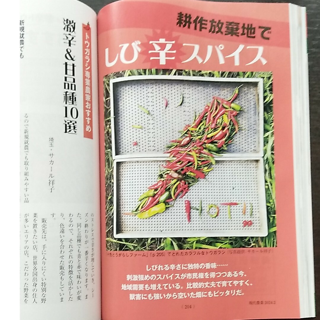 現代農業 2024年 02月号 [雑誌] エンタメ/ホビーの雑誌(その他)の商品写真