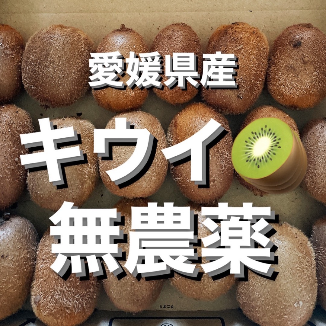 【農家直送】無農薬栽培　キウイフルーツ　箱込み1kg(18〜20コ程度) 食品/飲料/酒の食品(フルーツ)の商品写真