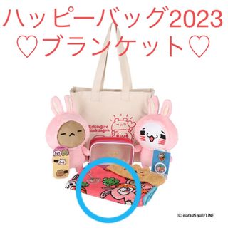 【完売品】愛しすぎて大好きすぎる。ハッピーバッグ２０２３✨ブランケット(キャラクターグッズ)